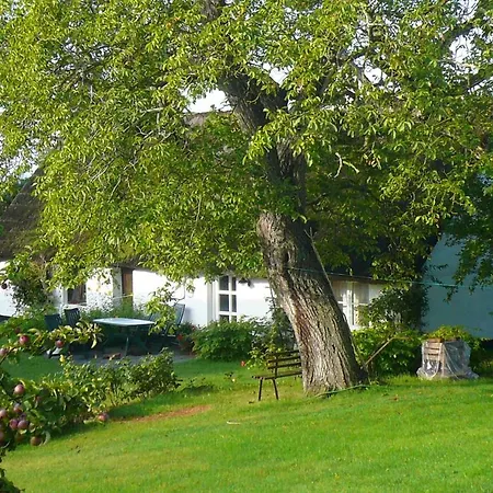 アパート Gutshof Ostseeblick Ferienwohnung 01 *