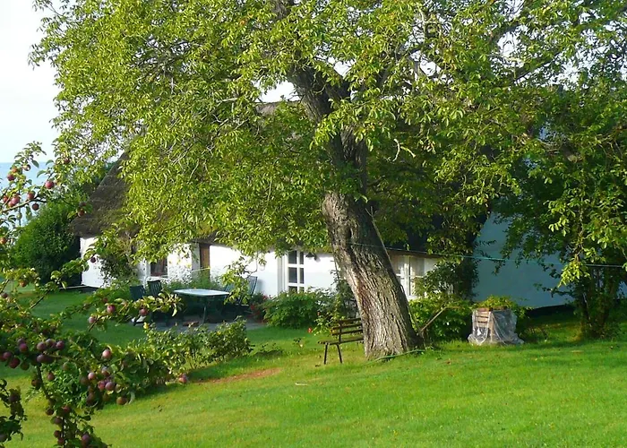 Daire Gutshof Ostseeblick Ferienwohnung 01 *